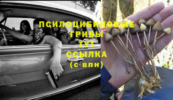 прущая мука Ельня