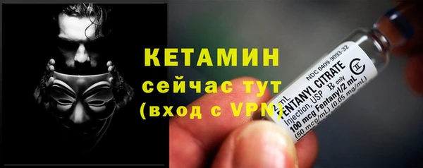 прущая мука Ельня