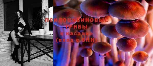 МДПВ Заводоуковск