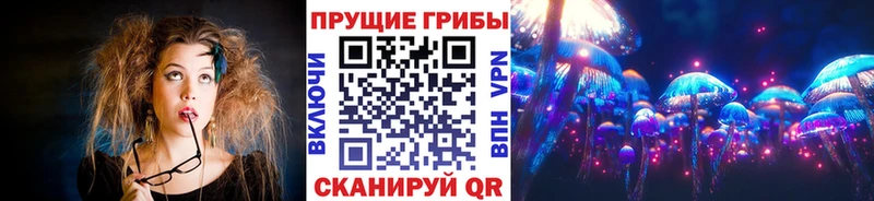 Псилоцибиновые грибы GOLDEN TEACHER  Купить где  Моршанск 